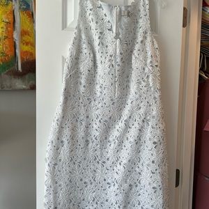 Loft lace dress